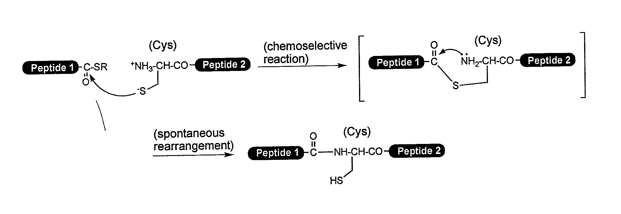 Method for producing peptide