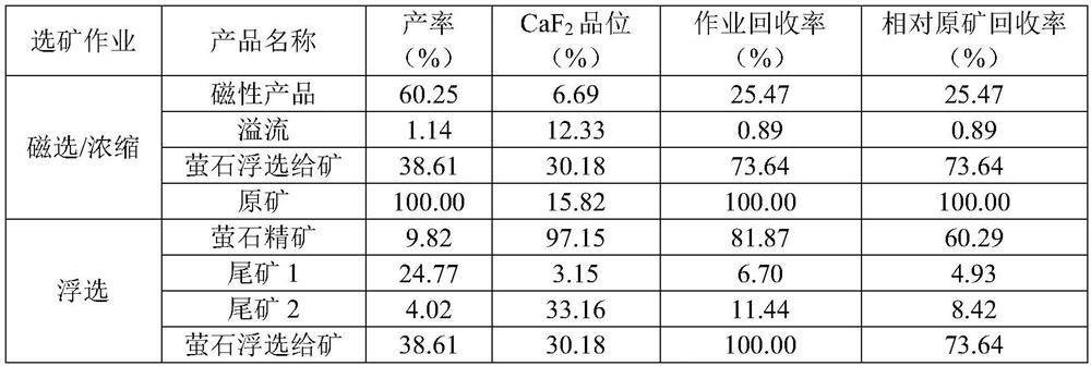 Beneficiation process for recovering fluorite from tailings