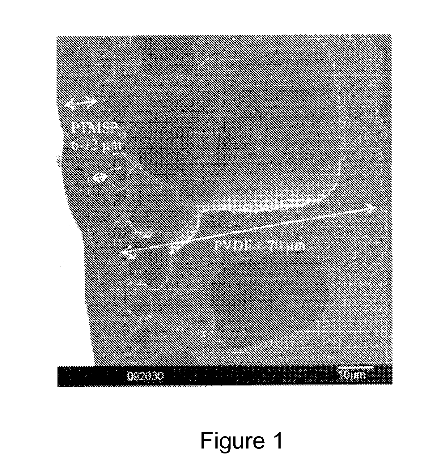 Thin film pervaporation membranes