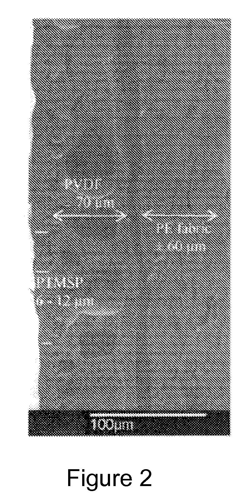 Thin film pervaporation membranes