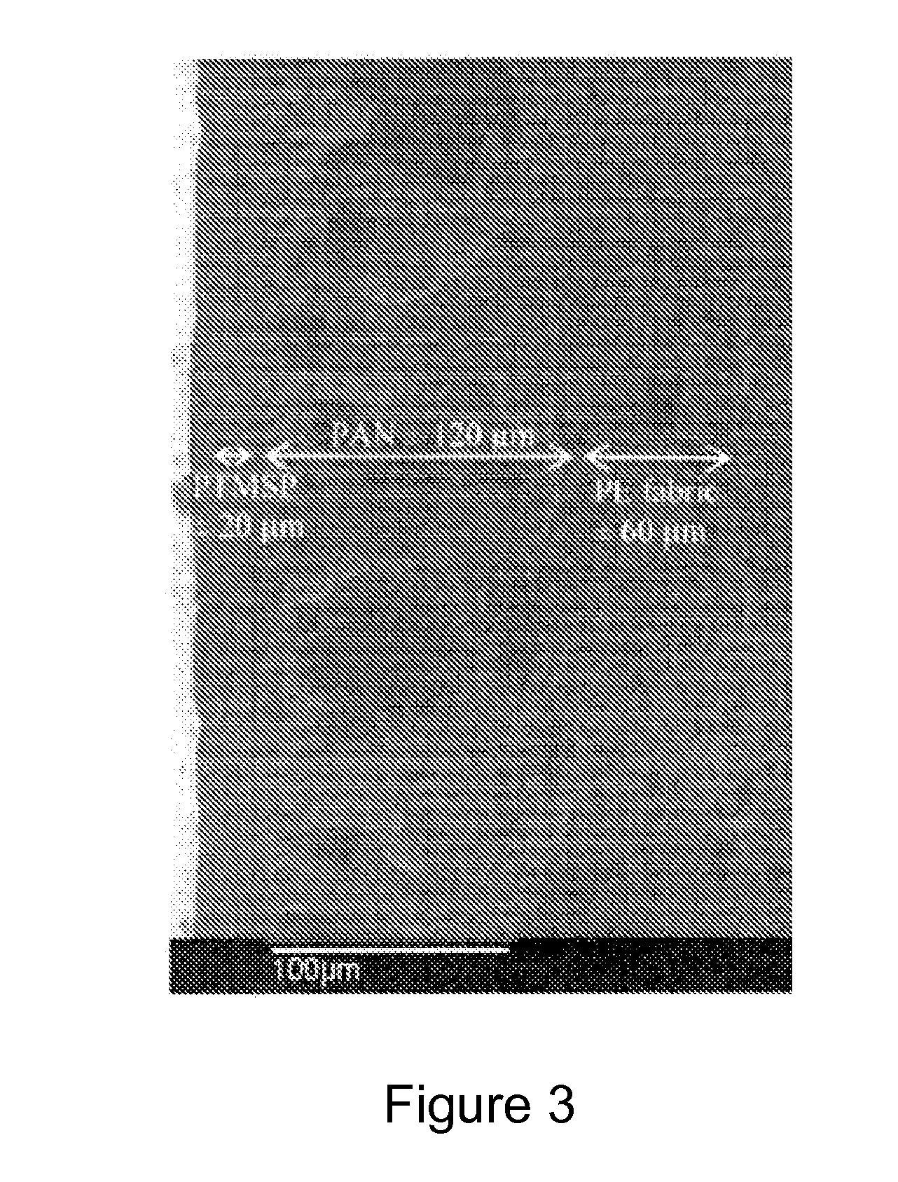 Thin film pervaporation membranes