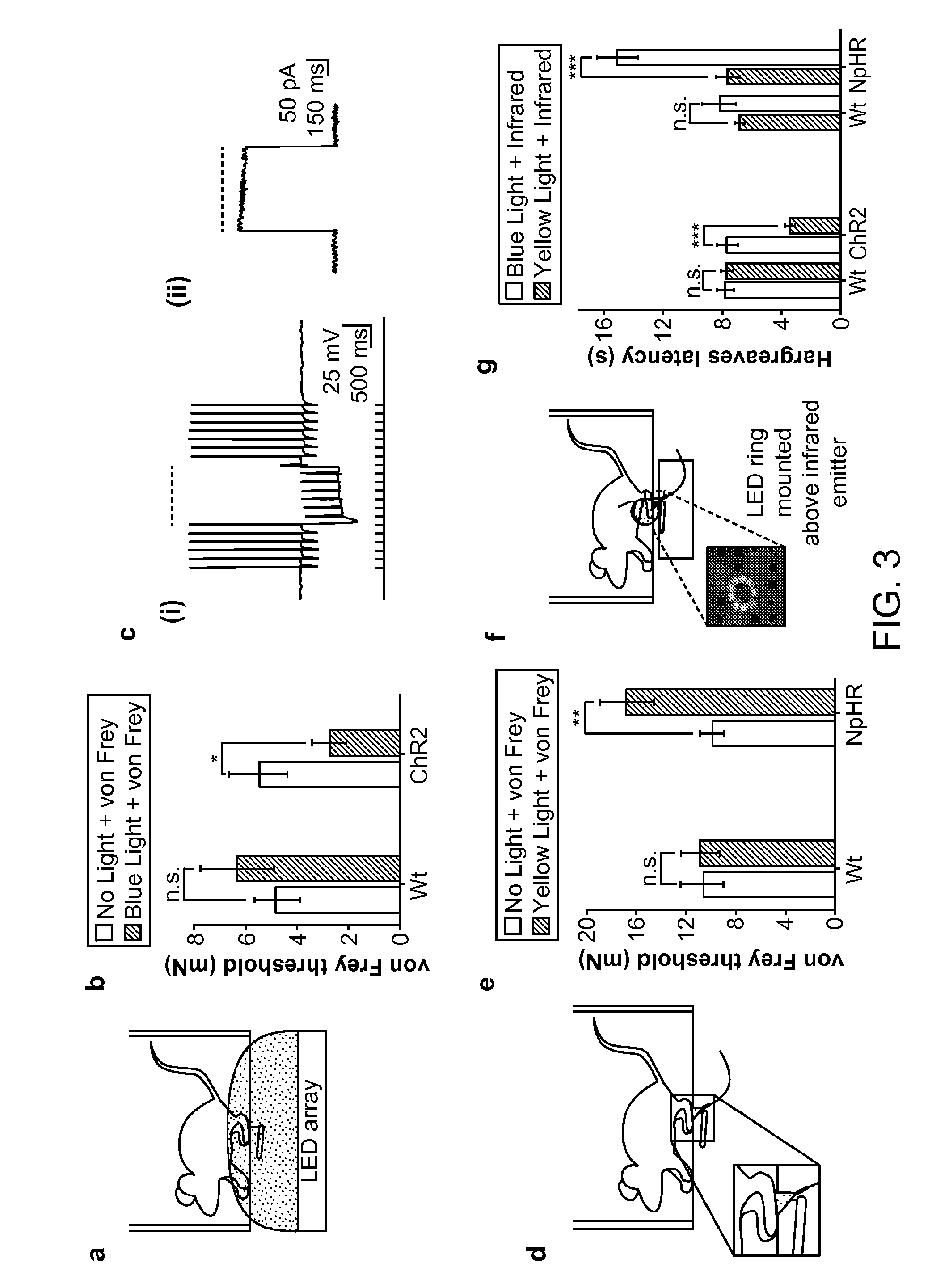 Compositions and methods for controlling pain