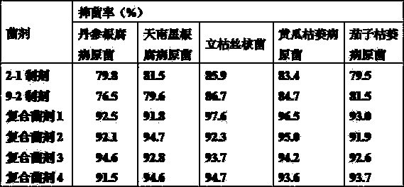 A kind of composite biocontrol agent containing seaweed matrix and its preparation method and application