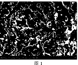 Engineering ceramic laser induction metamorphic wet-type grinding method