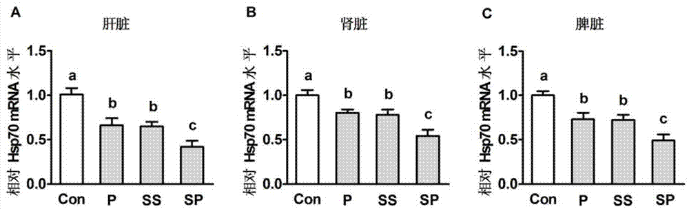 Porcine heat stress resistance selenium-rich composite bacteria feed additive and application thereof