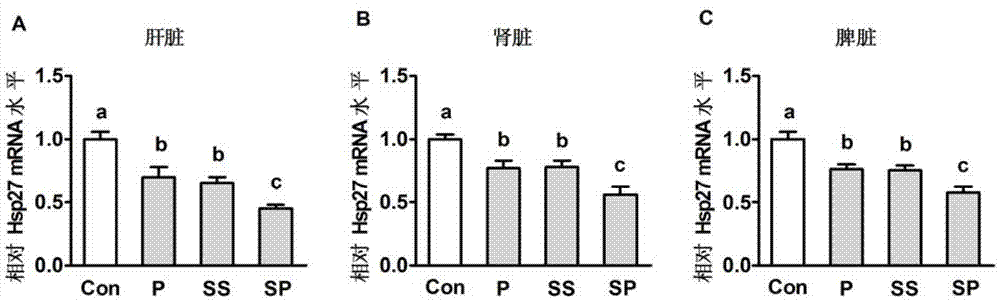 Porcine heat stress resistance selenium-rich composite bacteria feed additive and application thereof