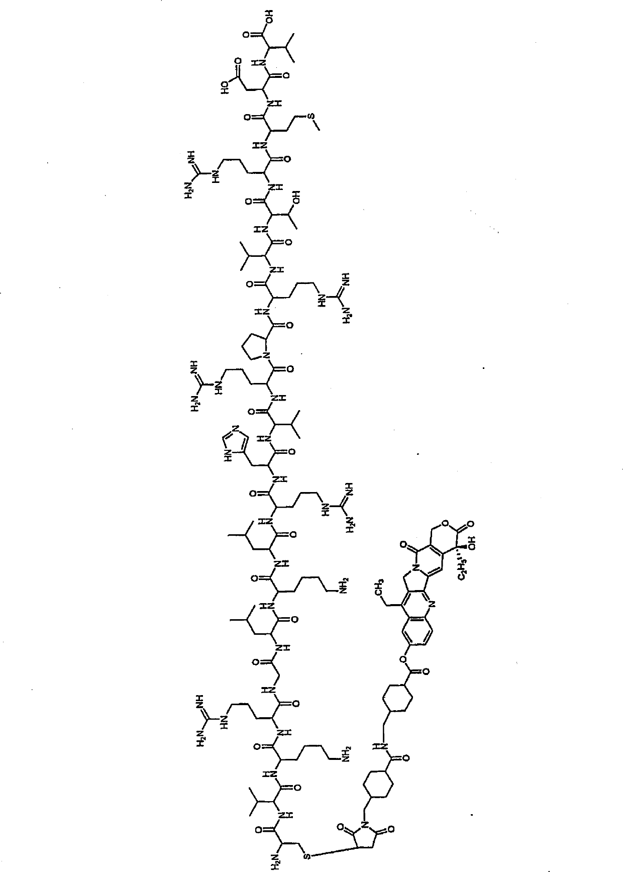 Camptothecin-peptide conjugates and pharmaceutical compositions containing the same