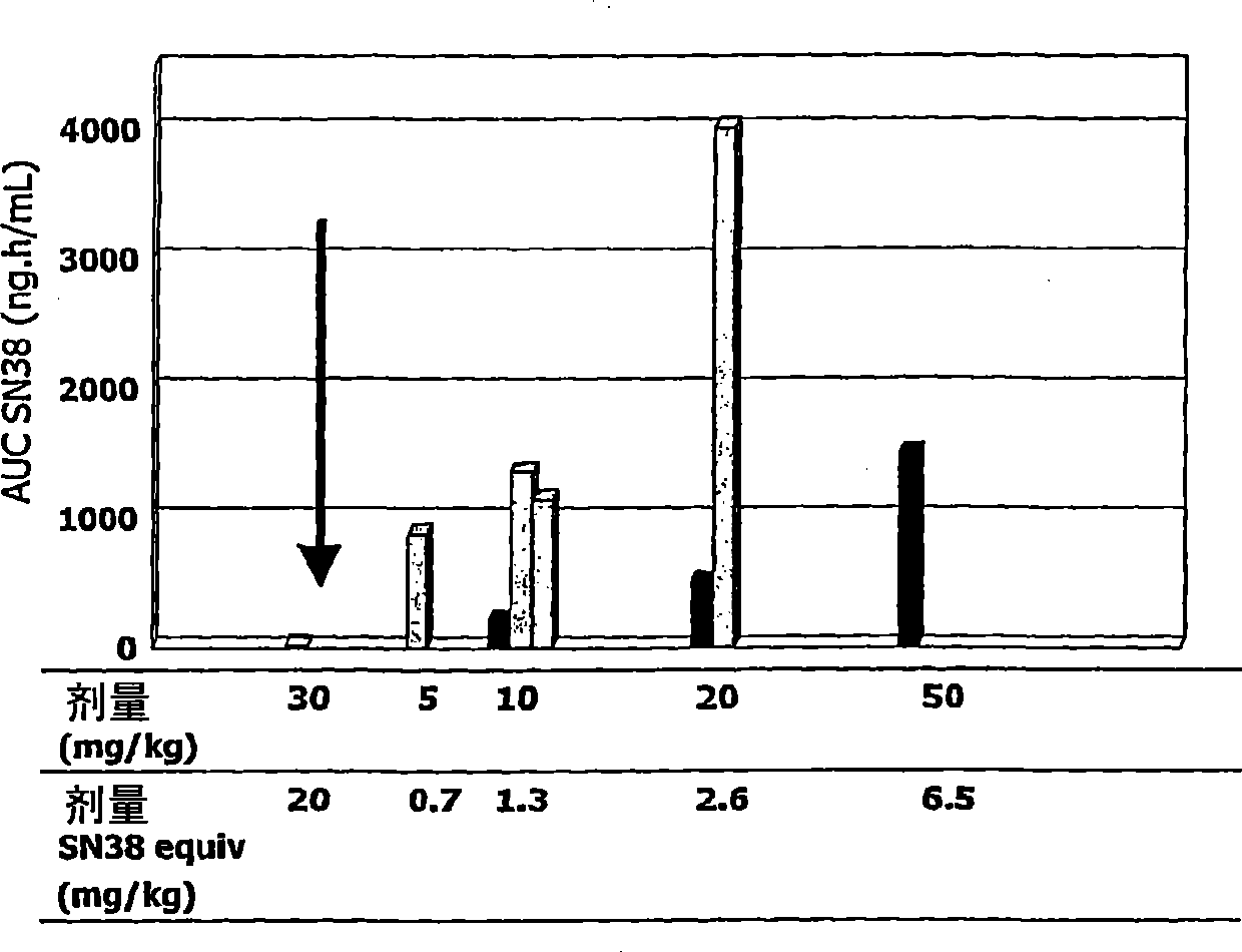 Camptothecin-peptide conjugates and pharmaceutical compositions containing the same