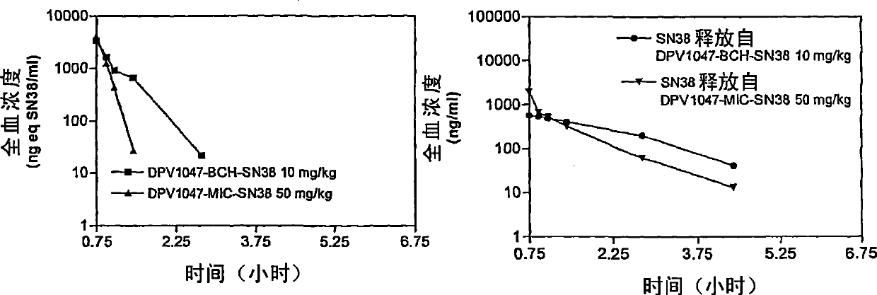 Camptothecin-peptide conjugates and pharmaceutical compositions containing the same