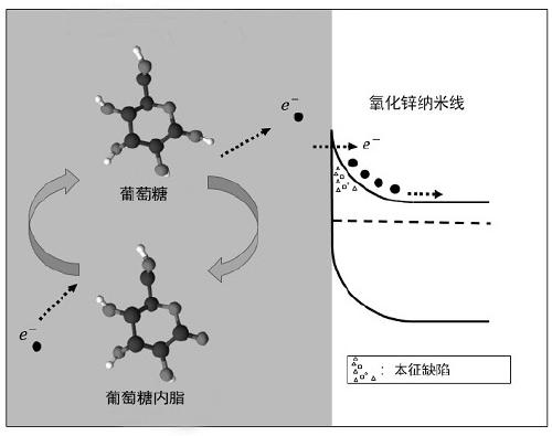 Non-enzymatic glucose sensing detection system