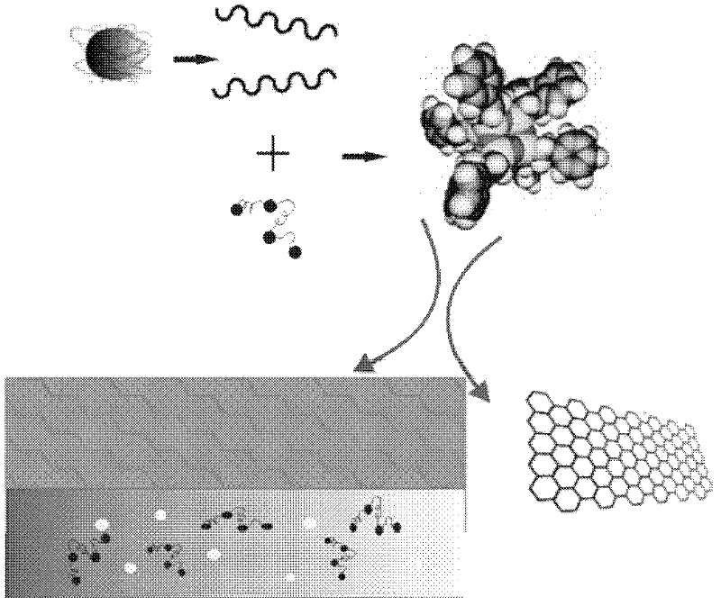 Novel selective water shutoff agent for oil well water shutoff