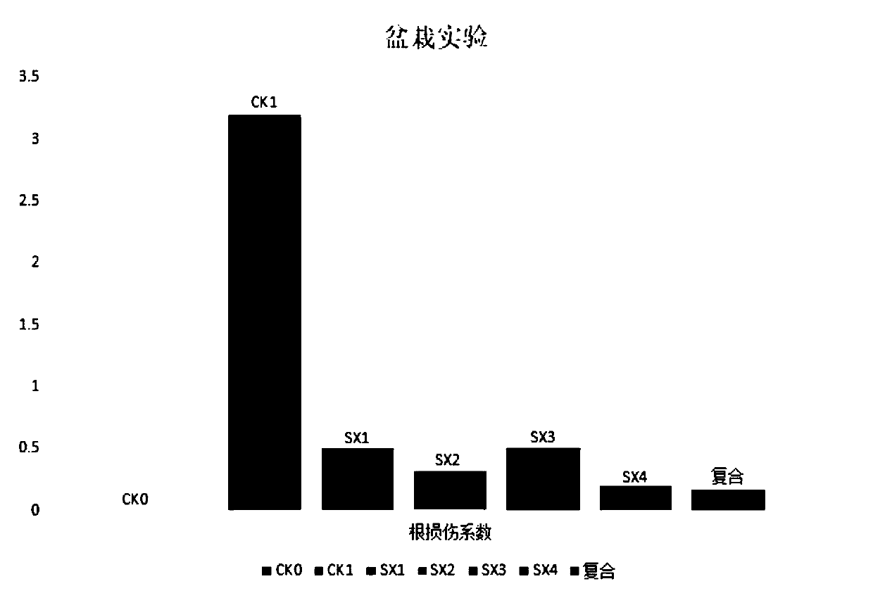 Method for control of tobacco nematode diseases with composite nematicidal microorganism