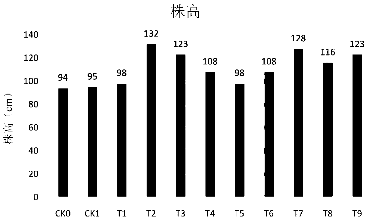 Method for control of tobacco nematode diseases with composite nematicidal microorganism