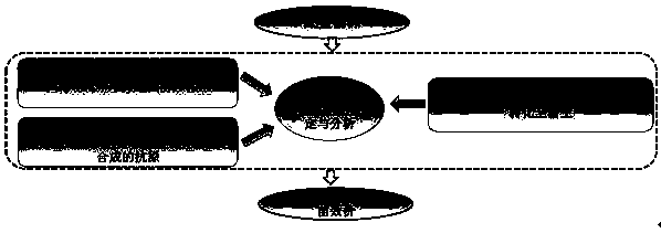 Escherichia coli engineering bacterium for synthesizing glycoprotein conjugate vaccines for neonatal meningitis escherichia coli and application