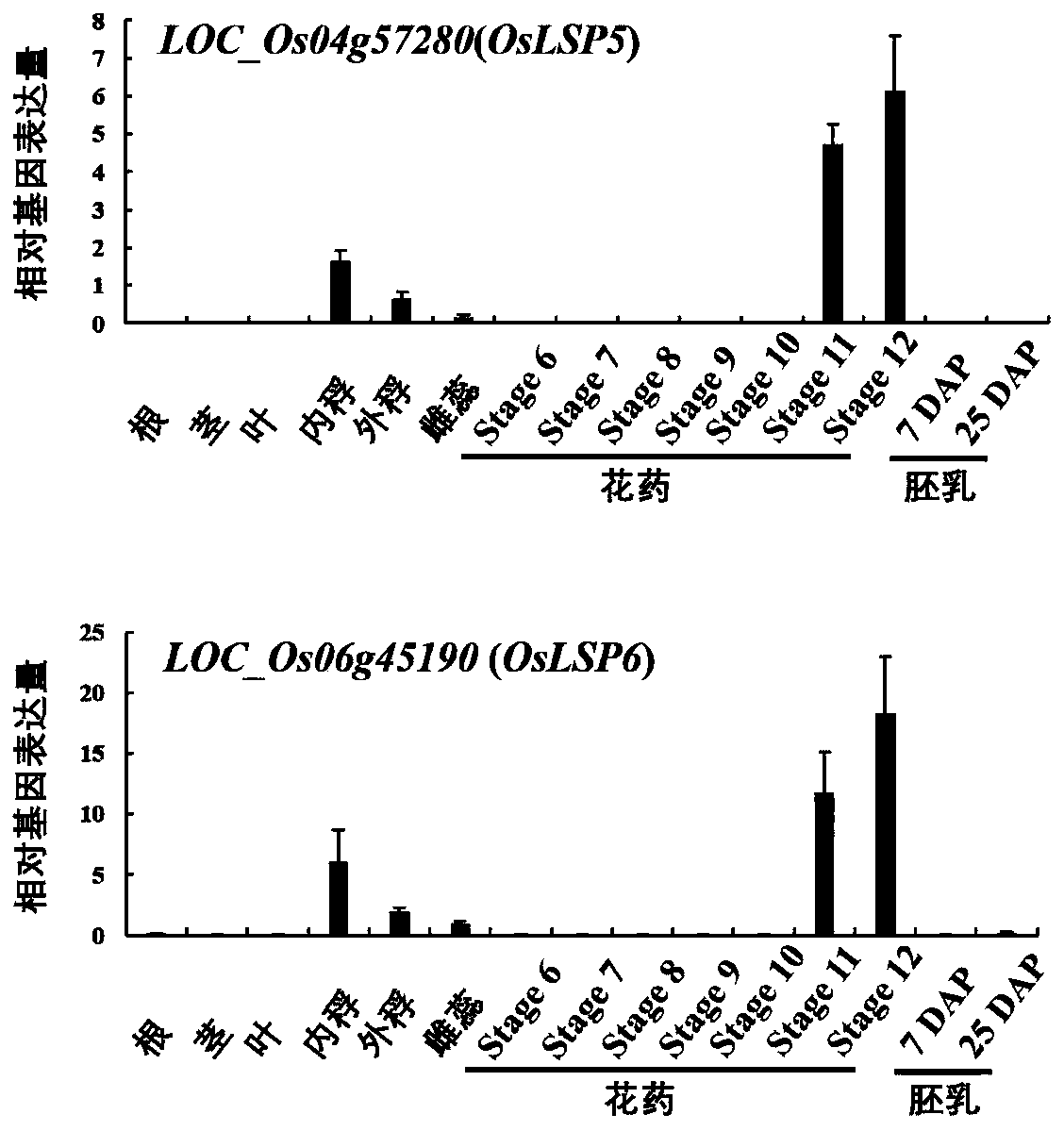 Plant anther pollen development late-stage specific expression promoters and application thereof