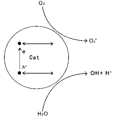 Method and device for processing ship ballast water by applying advanced electro catalysis oxidation