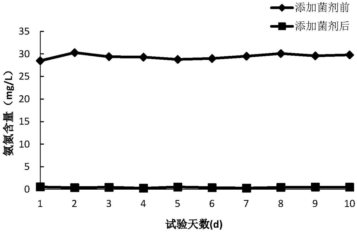 Thiourea degrading strain and method for treating thiourea-containing wastewater by applying same