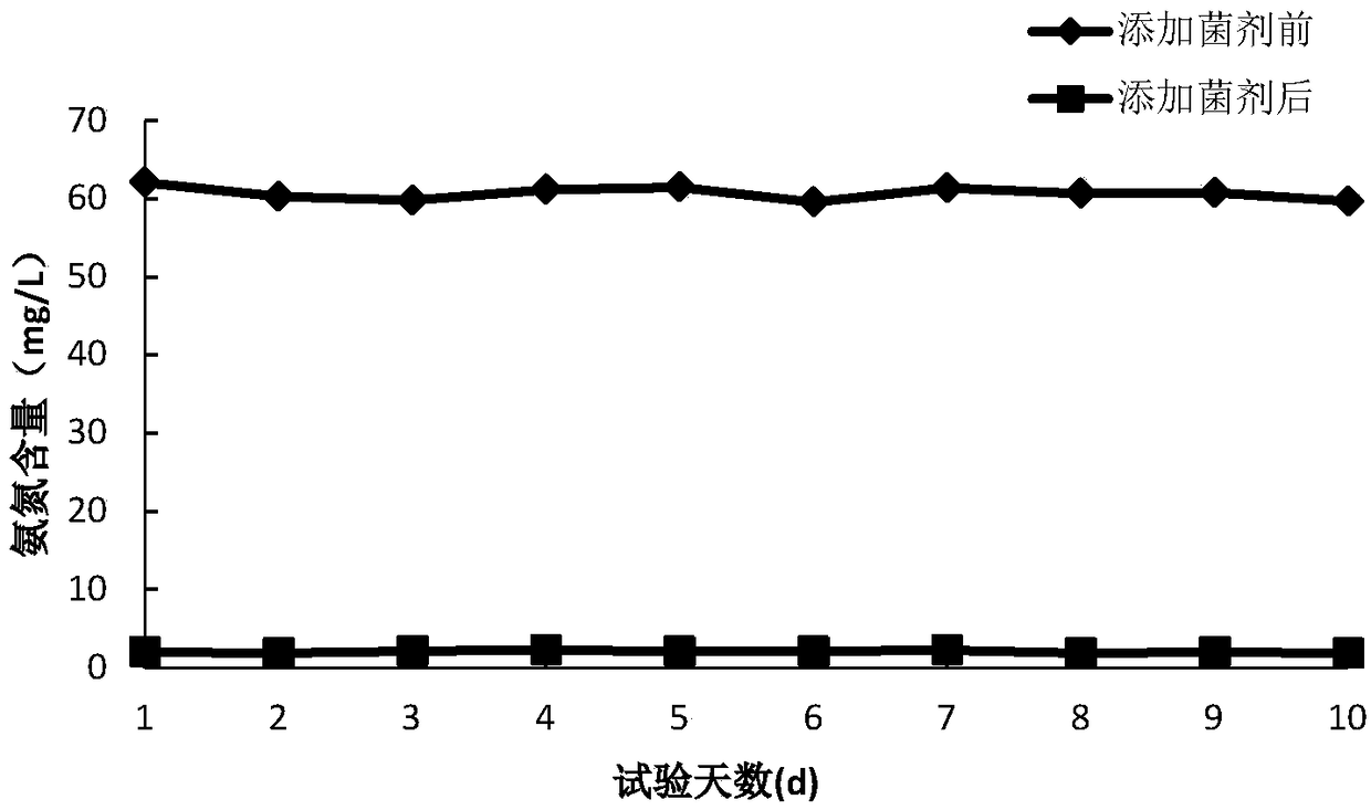 Thiourea degrading strain and method for treating thiourea-containing wastewater by applying same