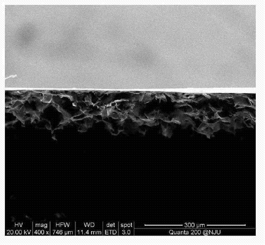 Method for preparing large-area graphene sponge