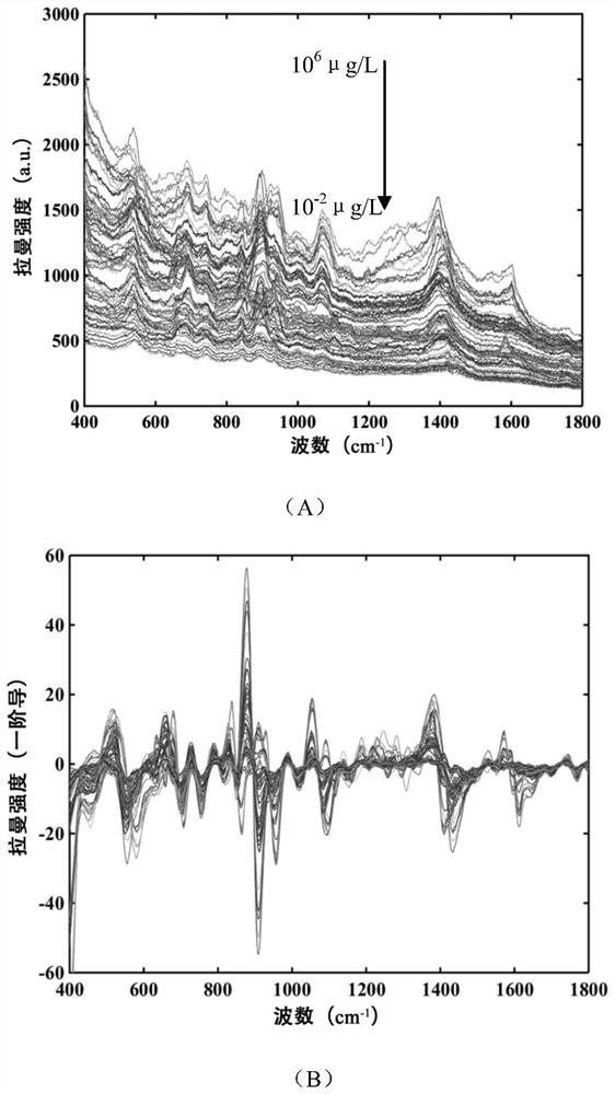 A Method of 2,4-D Rapid Detection Based on SERS Basis Combined with Multiple Linear Regression Model