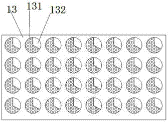 Rice germination device