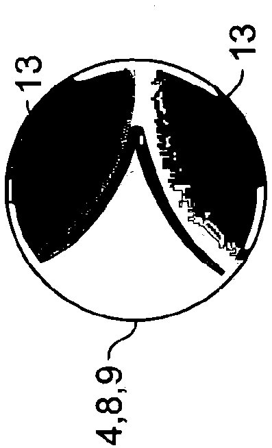 Illumination and observation system for an ophthalmic microscope, ophthalmic microscope comprising such a system, and microscopying method