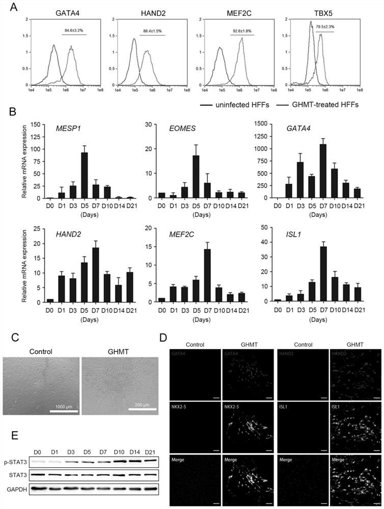 Method for preparing cardiac progenitor cells