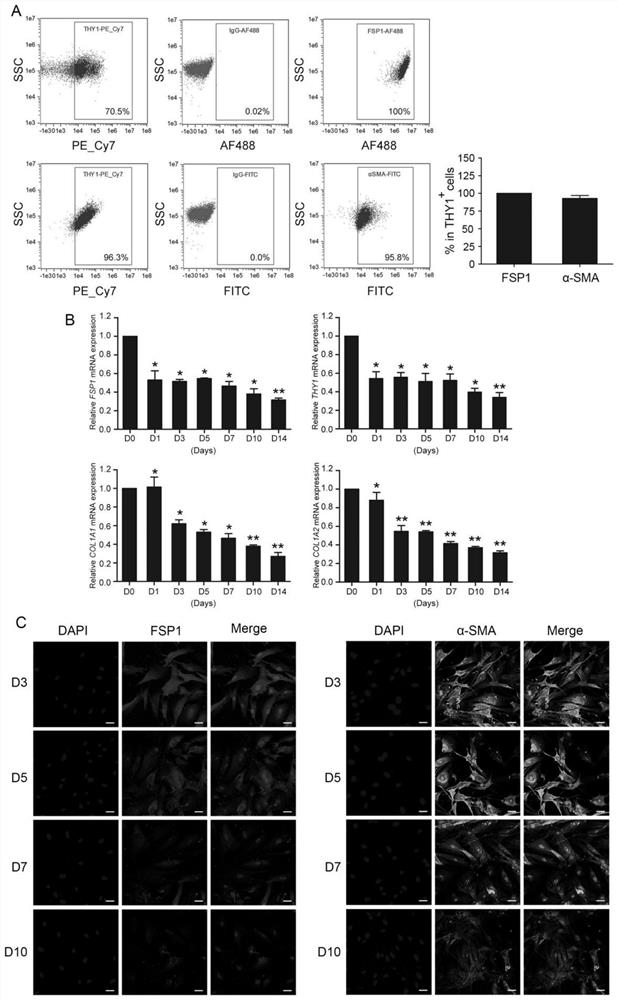 Method for preparing cardiac progenitor cells