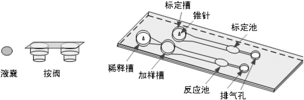 Optical microfluidics chip for fixing monoclonal antibody modified layer based on nanometer seal