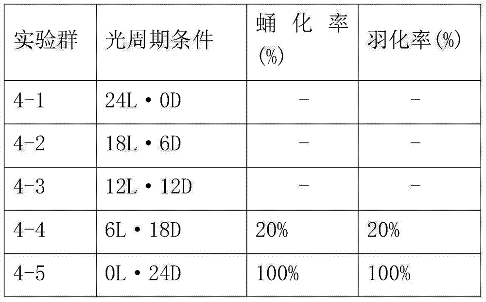 Artificial feed for mass culture of long-horned beetles, method for manufacturing same, and breeding method using same