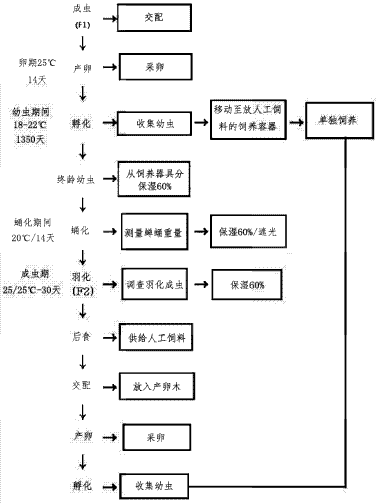 Artificial feed for mass culture of long-horned beetles, method for manufacturing same, and breeding method using same