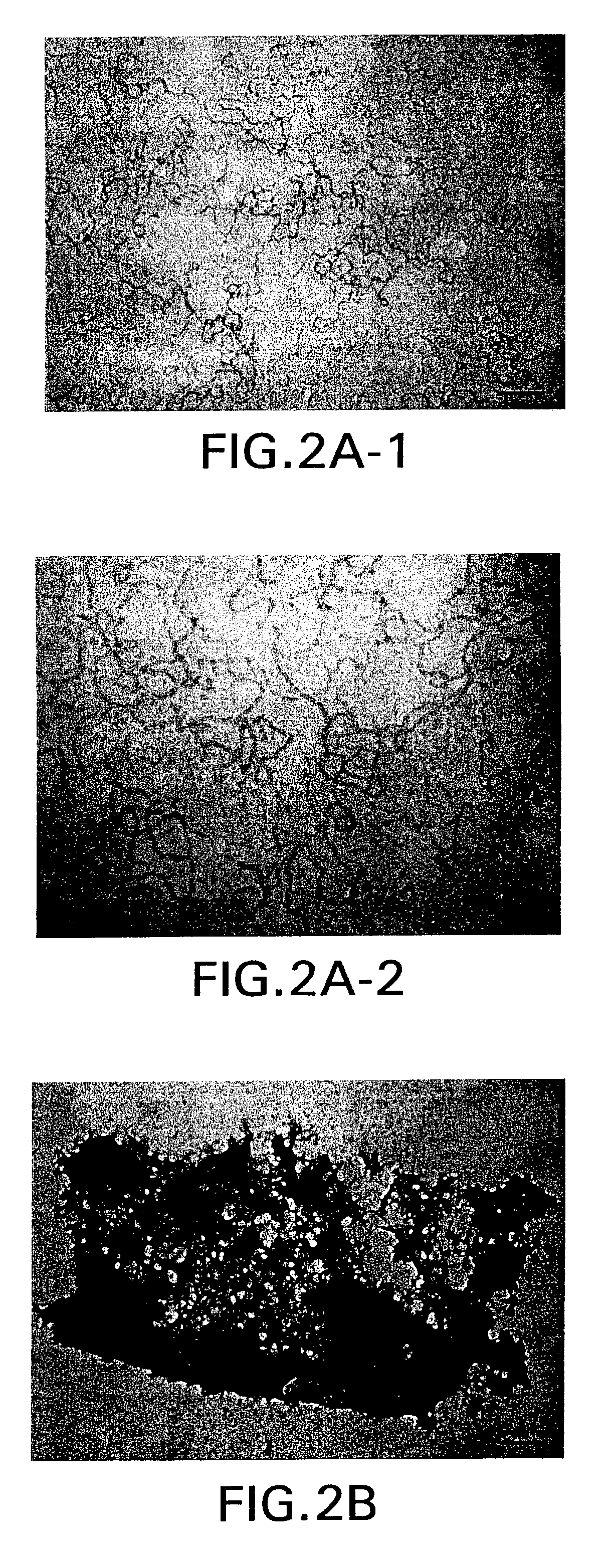 Methods for protein refolding