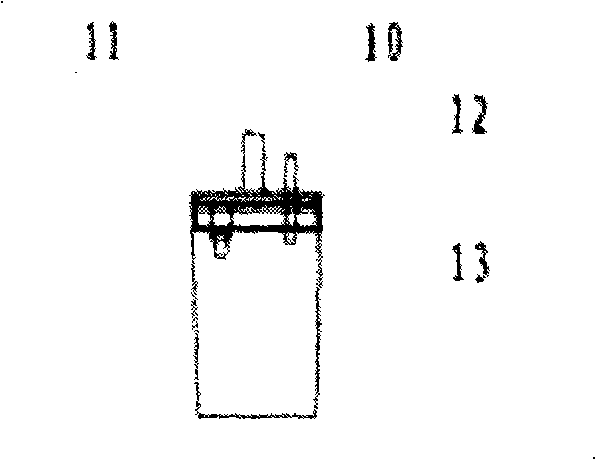 Portable electrodusting device