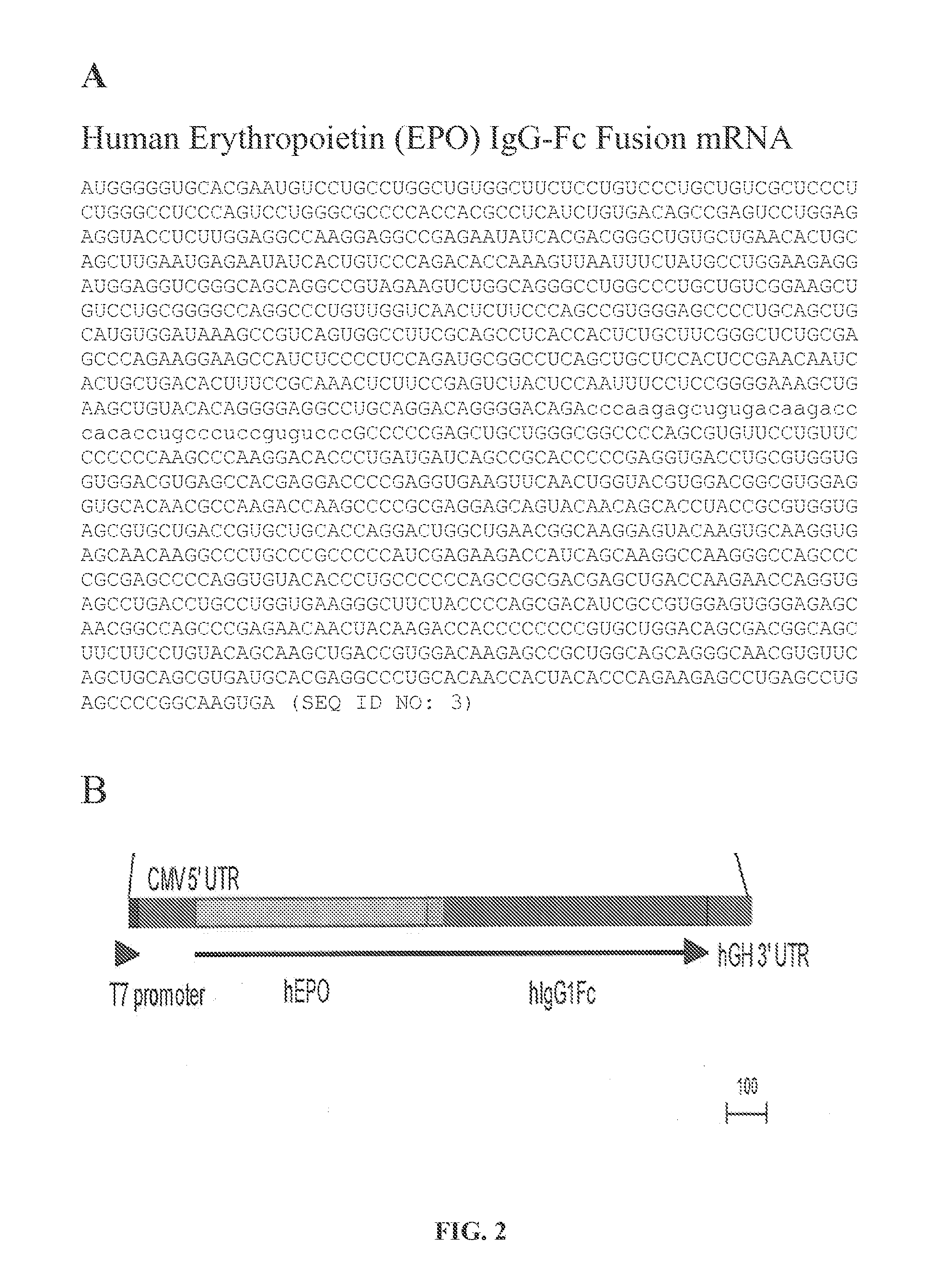 mRNA therapeutic compositions and use to treat diseases and disorders