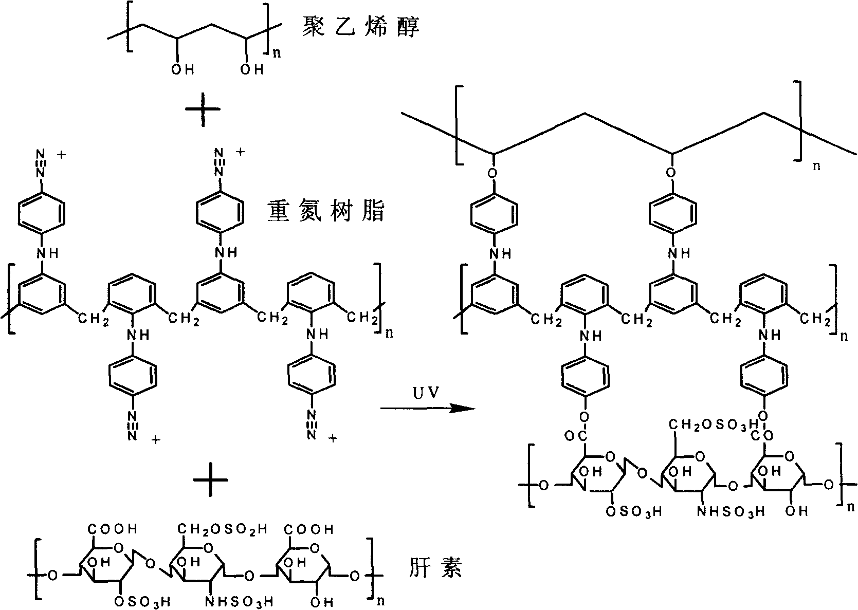 Electrochemical cross-linking process for surface modification of biological material