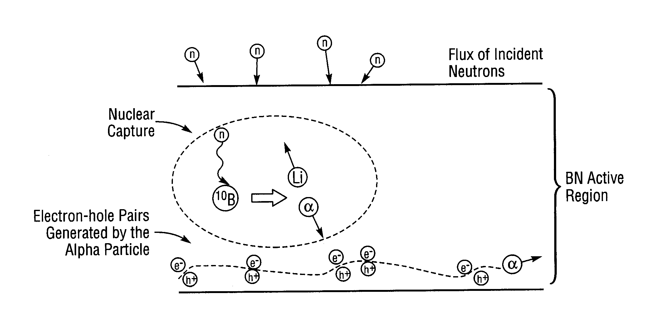 Detector Having A Thin Film Of Boron Nitride (BN) Such As Cubic BN And Method, Systems And Array Utilizing Same