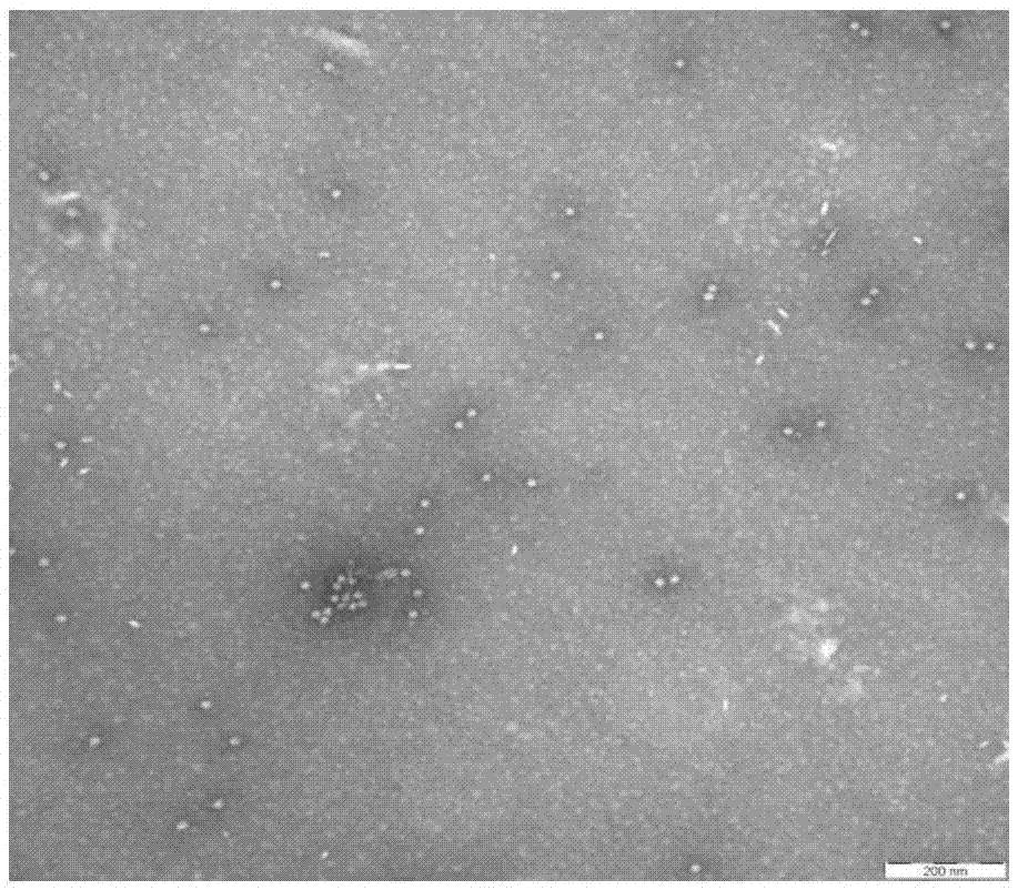 Porcine circovirus II competition ELISA antibody detection kit