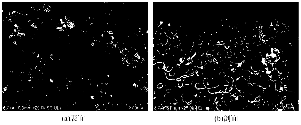 Rapid and economic synthesis method of ultrathin MFI molecular sieve membrane