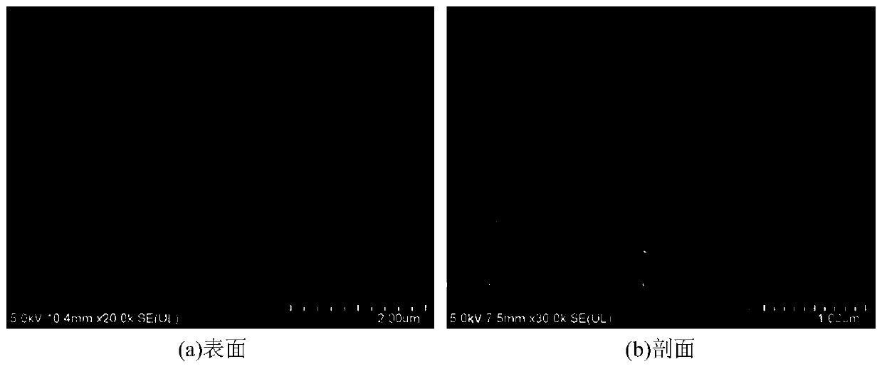 Rapid and economic synthesis method of ultrathin MFI molecular sieve membrane