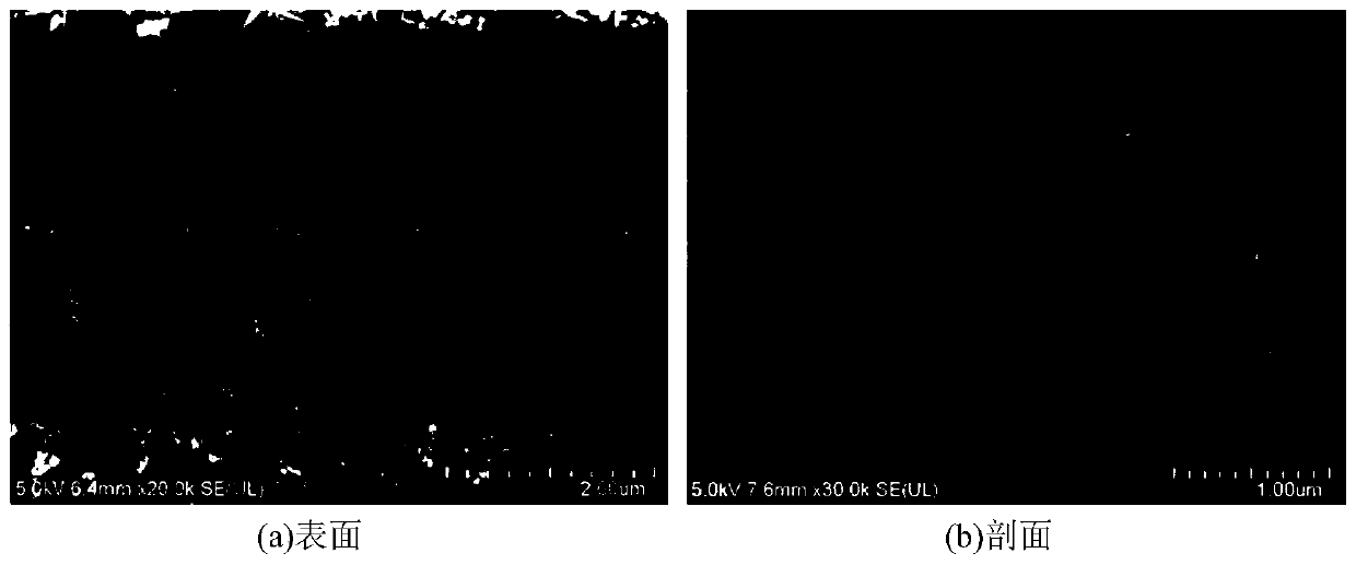 Rapid and economic synthesis method of ultrathin MFI molecular sieve membrane