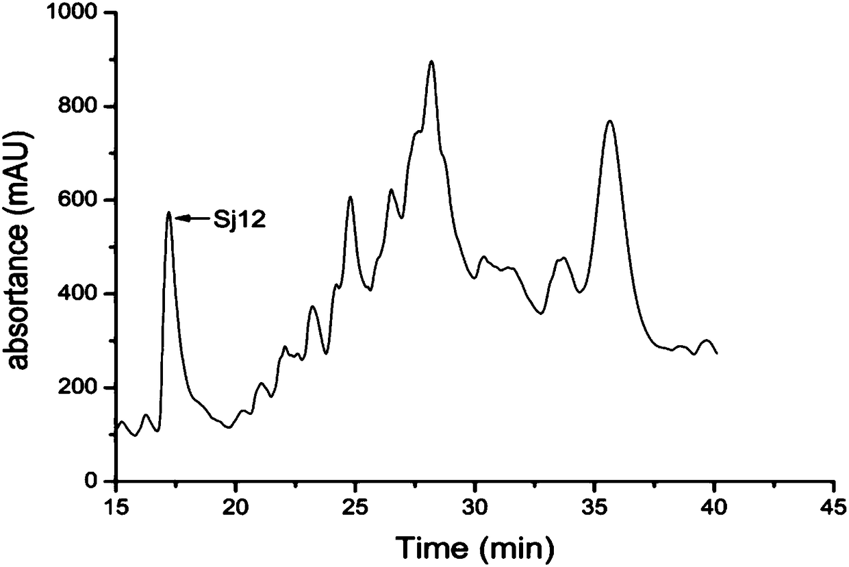 Sj12 polypeptide and application thereof in preparation of anticoagulation medicine