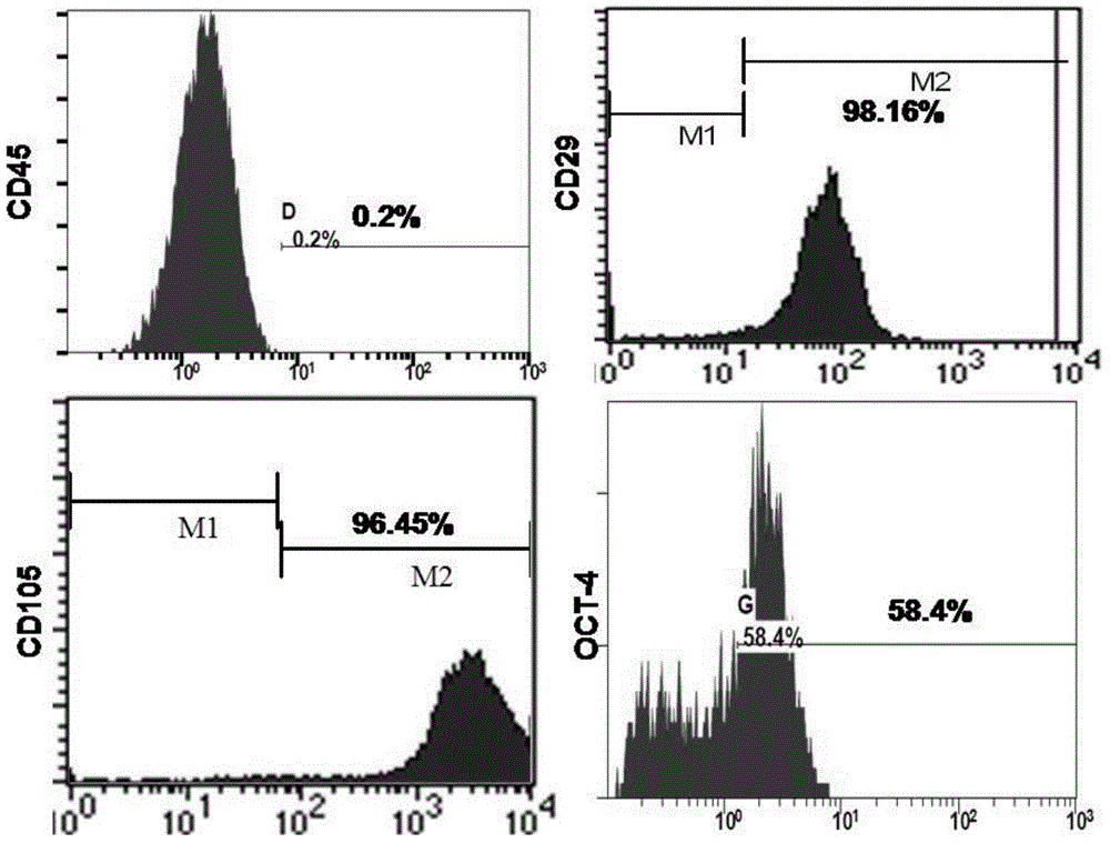 Sweat gland differential induction medium and applications thereof