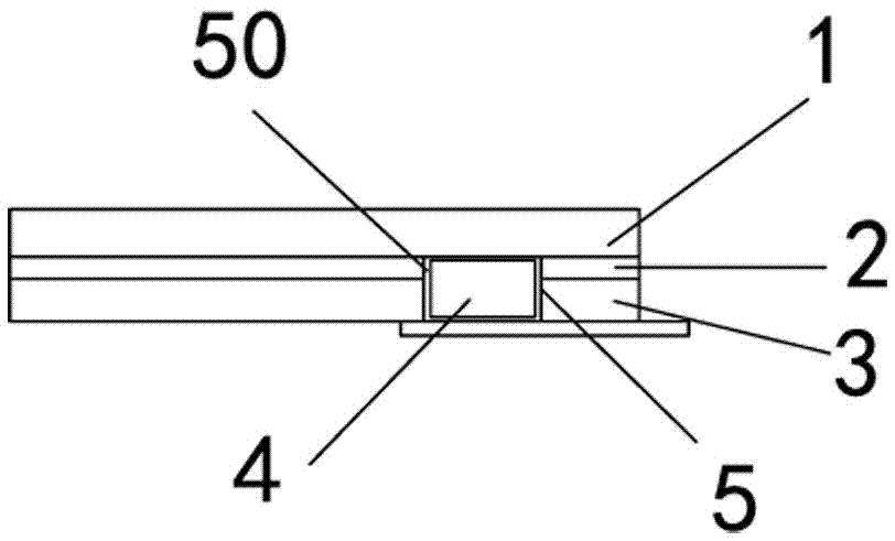 Structure for improving fingerprint identification