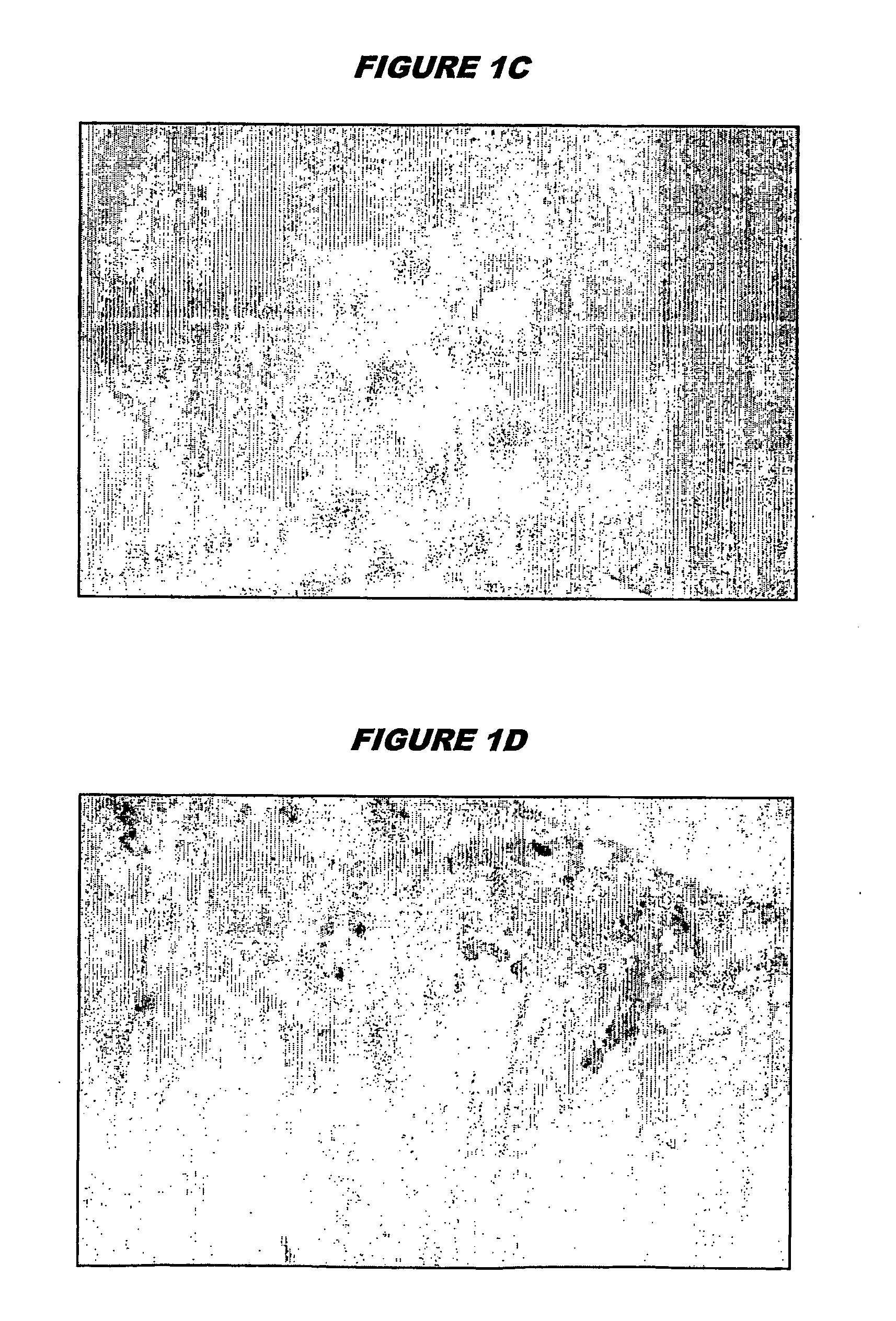 Screening for anti-ovulatory compounds