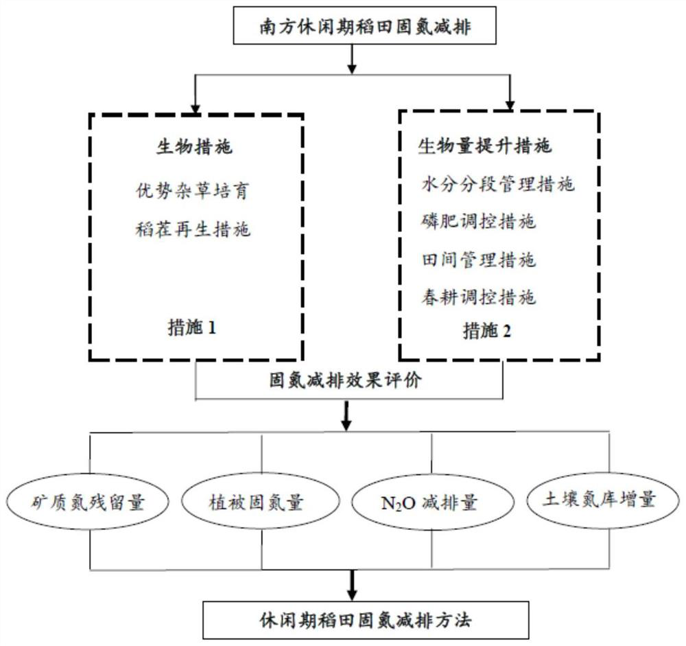 Southern fallow period rice field nitrogen fixation and emission reduction method