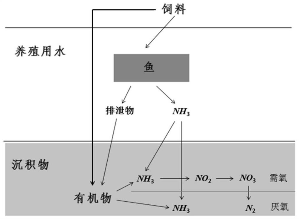 Nitrification and denitrification integrated water treatment system