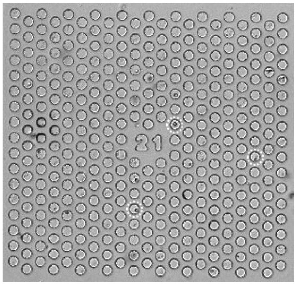 Circulating nerve cell detection kit and detection method