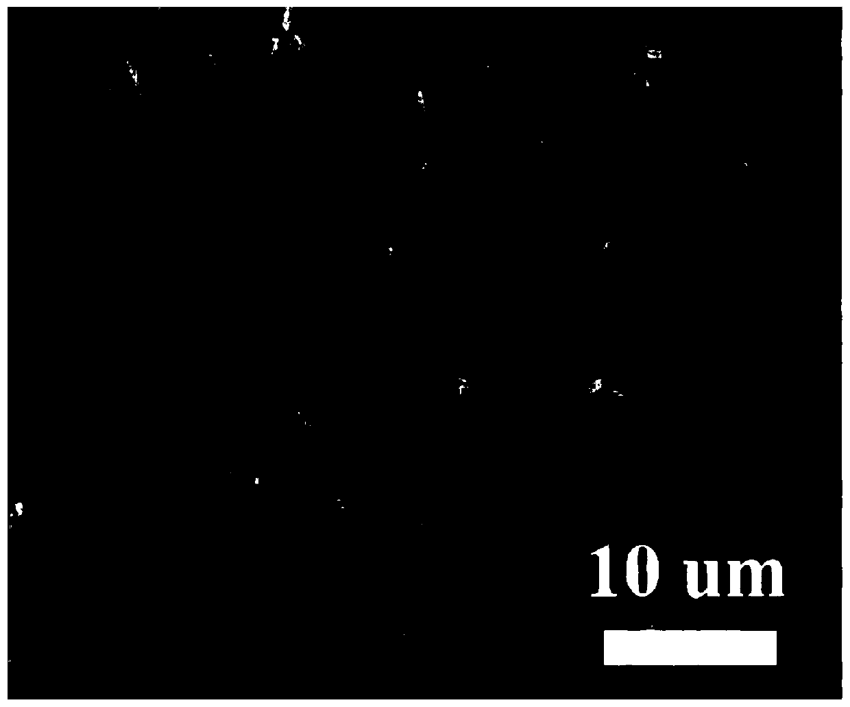 Preparation method of electrochromic intelligent molybdenum trioxide-tungsten oxide core-shell nano- array energy storage electrode