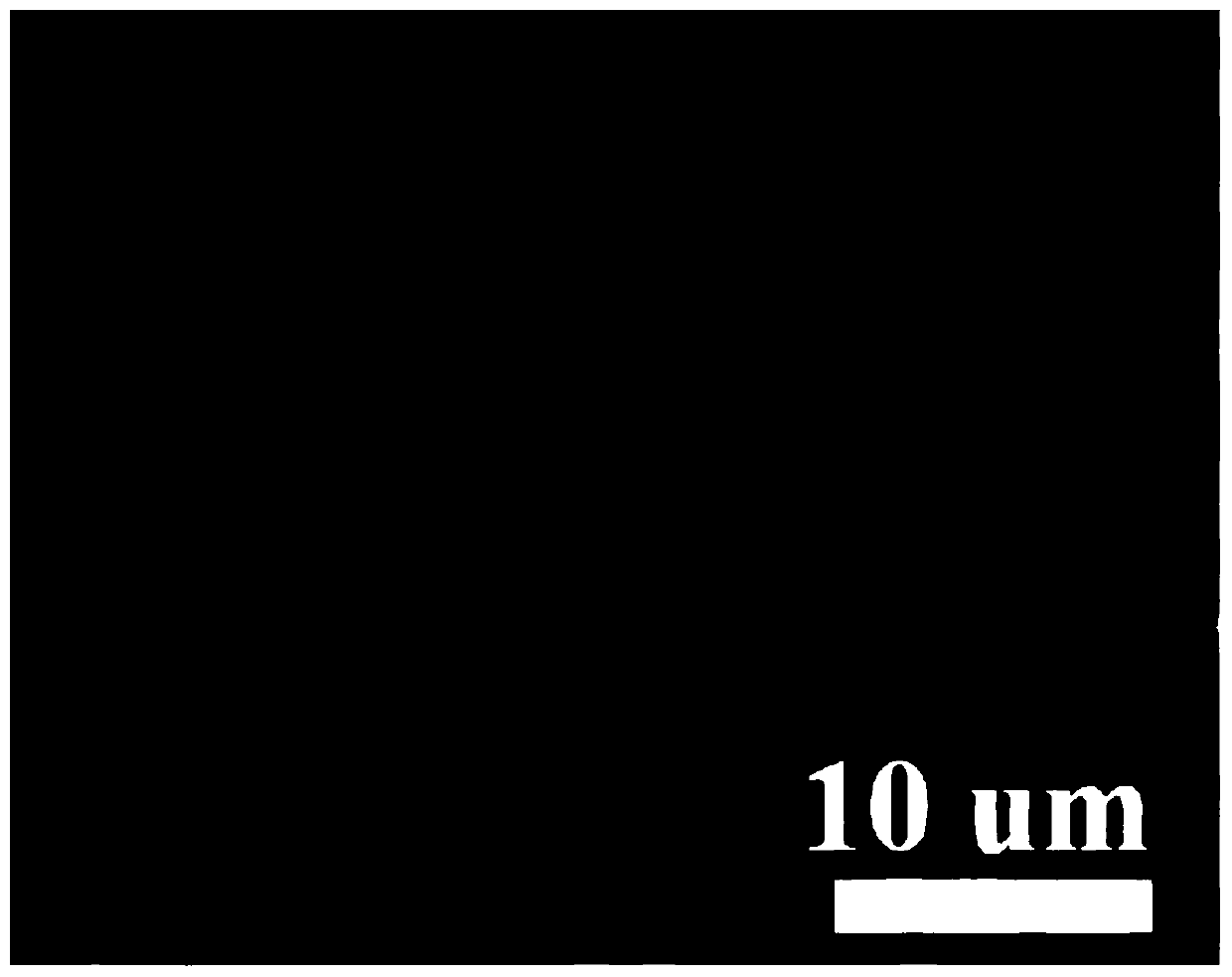 Preparation method of electrochromic intelligent molybdenum trioxide-tungsten oxide core-shell nano- array energy storage electrode