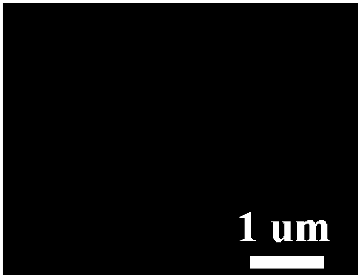 Preparation method of electrochromic intelligent molybdenum trioxide-tungsten oxide core-shell nano- array energy storage electrode